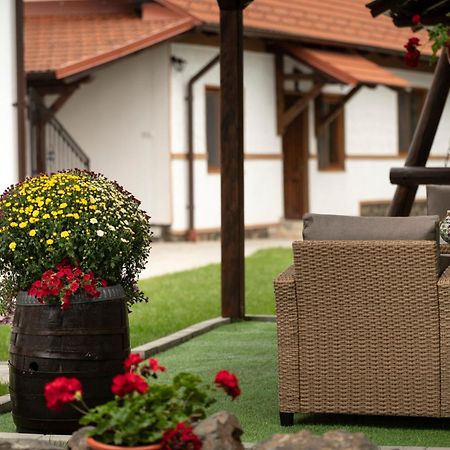 Cîrţişoara Magda Garden酒店 外观 照片